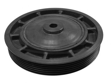 POLIA MOTOR SUBST POR 80004894