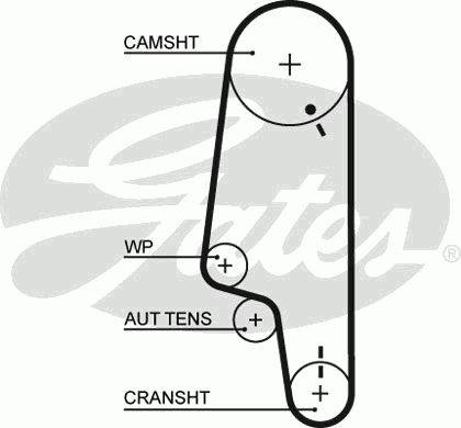 CORREIA DIST VAG 1.6