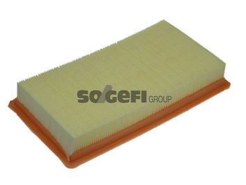 FILTRO AR RENAU CLIO II/MEGANE 1.9 D